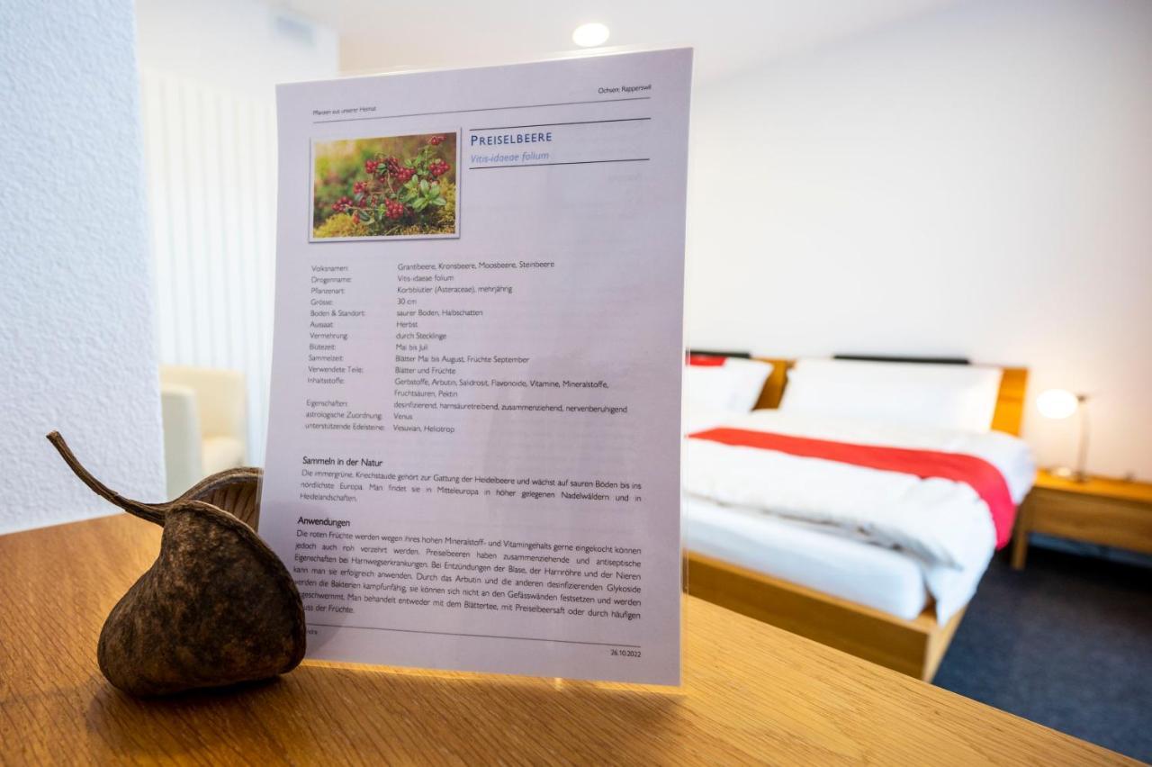 Hotel Ochsen Rapperswil/Be Rapperswil  المظهر الخارجي الصورة