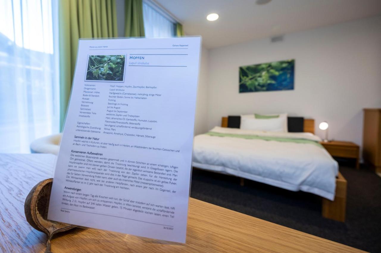 Hotel Ochsen Rapperswil/Be Rapperswil  المظهر الخارجي الصورة